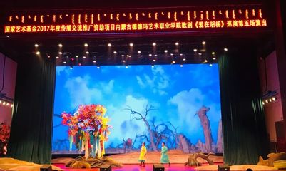 【聚焦】大型原创民族歌剧《爱在胡杨》在我区精彩上演